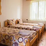 гюмюрджински снежник 3* Kirkovo