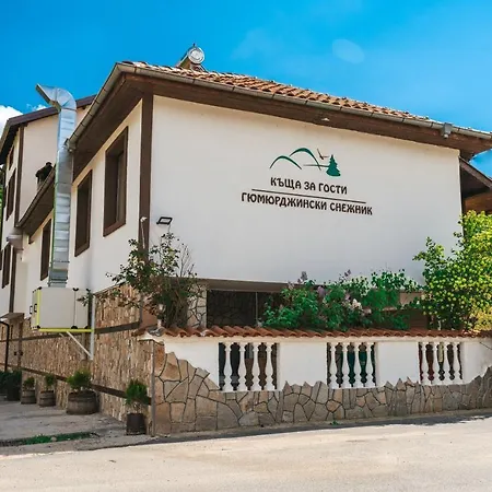 гюмюрджински снежник