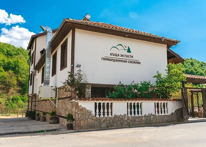 гюмюрджински снежник