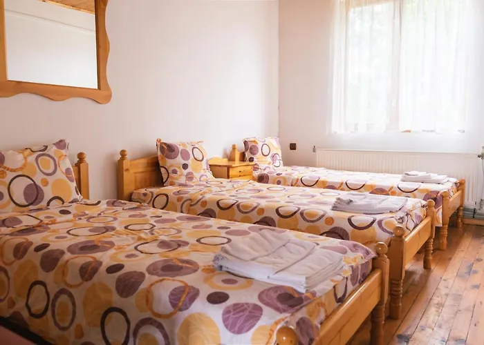 гюмюрджински снежник 3*